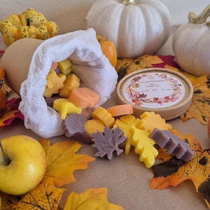 Può includere: Cera profumata a tema autunnale a forma di foglie e zucche, nei toni del giallo, arancione e viola, che fuoriescono da un sacchetto bianco. La scena comprende zucche, foglie e una mela.