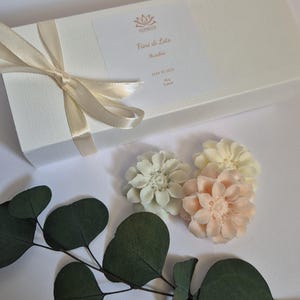 Fiori di Loto tart