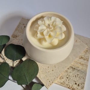 Alba con fiore di Loto