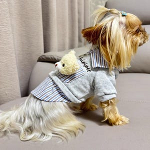 May include: A small dog wearing a gray and blue striped shirt with a teddy bear on the back. The shirt has the word "hipipet" printed on it. The dog has long, light-colored fur and is sitting on a gray couch.