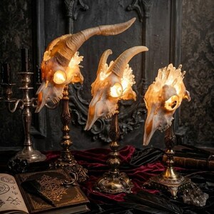 May include: Three illuminated animal skull lamps mounted on ornate bronze-colored metal stands. Each skull features curved horns and protruding crystal formations, with warm light glowing from within the eye sockets and cranial cavities.