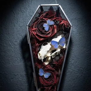 May include: A coffin-shaped glass display case containing dark red roses, a white animal skull, and three small blue butterflies. The arrangement is set within a metallic frame, showcasing a contrast between the deep floral tones and the bone.