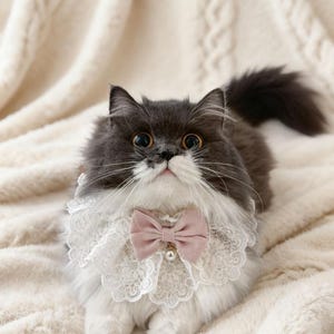 Pode incluir: Um gato cinza e branco fofo usando uma gola de renda branca com um laço rosa e uma pérola. O gato está deitado em um cobertor texturizado creme, olhando para cima.