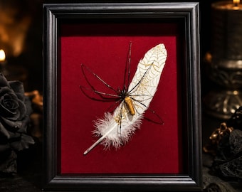 Nephila Pilipes Spinnenpräparat im Rahmen, echte goldene Radnetzspinne, gotische Schattenbox, Wanddekoration im Stil von Dark Academia, Halloween-Sammlergeschenk