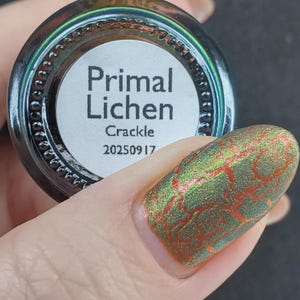 May include: A bottle of nail polish labeled "Primal Lichen Crackle 20250917" is held up to a painted nail. The nail is painted with a green and orange crackle design. The bottle is dark with a reflective, iridescent sheen.