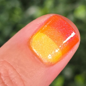 Tequila Sunrise | A Warm Red to Orange to Yellow Tri-Thermal with an Aurora Shimmer and Tiny Champagne Reflective Holo Glitter