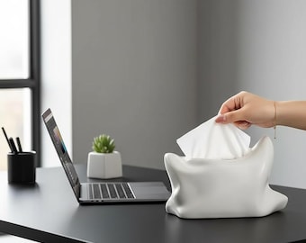 Caja de pañuelos de cerámica con diseño de almohada escultural / Decoración moderna escultural / Accesorios para la mesa del salón