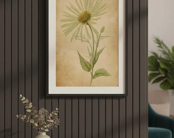 Impresión vintage de diente de león, arte botánico antiguo (impresión digital)