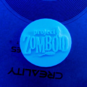 Project Zomboid Logo Figurine