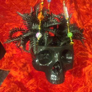 Puede incluir: Una maceta negra con forma de calavera llena de plantas oscuras parecidas a helechos. Cuentas de colores cuelgan de la parte superior de la maceta. El fondo es una tela roja texturizada.