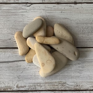May include: A collection of smooth, light-colored beach stones in various shapes and sizes. The stones range in color from beige to light gray and are arranged on a weathered, light-colored wooden surface. The stones appear to be naturally shaped and worn.