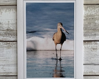 Photograph Greeting Card, Handmade Note Card, Bird Photography Art, Frameable Art, Shore Bird Greeting Card, Shore Bird, Blank Card