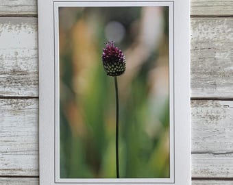 Botanical Card, Flower Blank Card, Botanical Greeting Card
