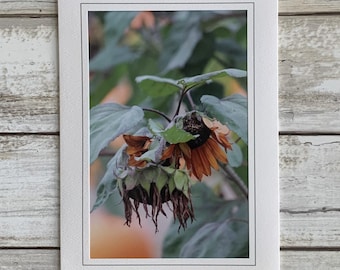 Botanical Card, Flower Blank Card, Sunflower Blank Card