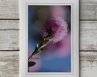 Botanical Card, Pink Flower Blank Card, Botanical Blank Card