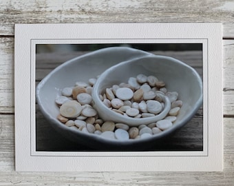 Operculum Photo Card, Operculum Photography, Shell Greeting Card, Frameable Photography Card