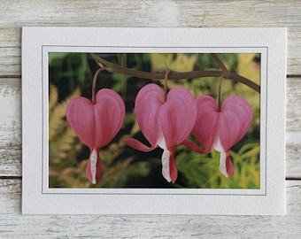Botanical Card, Flower Photo Card, Botanical Photography, Blank Card