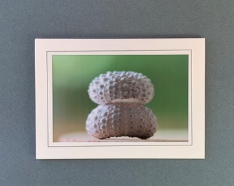 Sea Urchin Card, Sea Urchin Art Card, Urchin Photograph Blank Card, Handmade Card, Frameable Photo Card, Beach Coastal Sea Shell Card