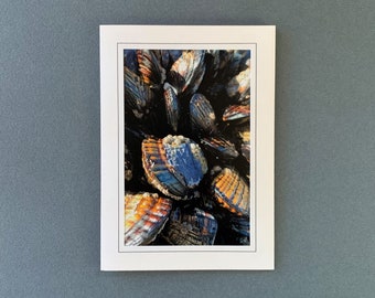 Sea Mussels Photograph, Beach Ocean Coastal Greeting Card, Mussels Photograph, Photography Art Card, Frameable Note Card, Tide Pool Greeting