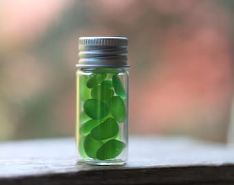 Sea Glass, 25 Tiny Sea Glass Pieces in a 2" Tall Bottle, Vintage Sea Glass, Vintage Sea Glass, Genuine Sea Glass, Rare Lime Green Sea Glass