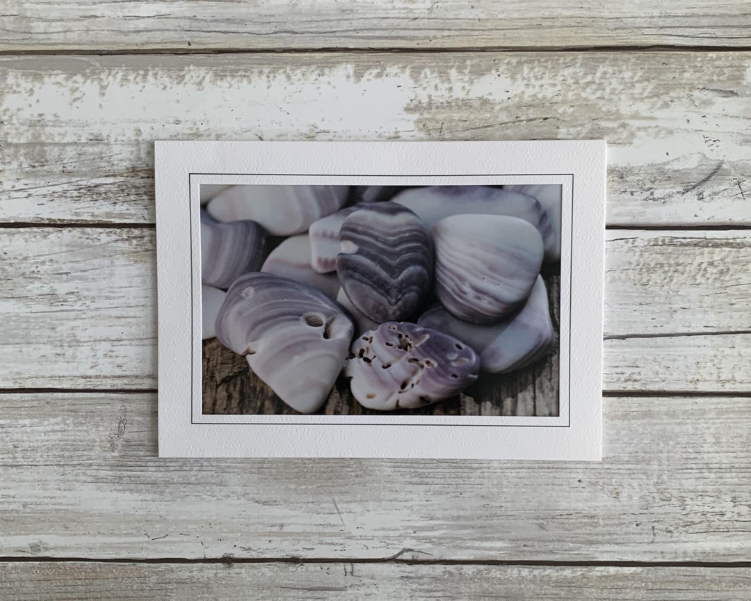Card Background Shell Shell Card, Blank Photo Greeting Card, Handmade Note Card, Shell Photo ...
