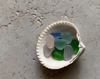 Sea Glass, Genuine Sea Glass in a Shell, Sea Shell Sea Glass