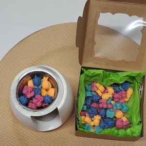 Könnte beinhalten: Ein weißer Wachserhitzer mit silbernem Innenraum, gefüllt mit bunten Wachs-Melts. Eine Pappschachtel mit einem transparenten Fenster enthält weitere Wachs-Melts in verschiedenen Formen und Farben, darunter Rosa, Blau und Orange.