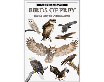 Greifvögel Poster: Greifvögel, Eulen und Adler.  Wildtiere Dekor für Naturliebhaber