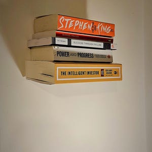Damage Free Invisible Bookshelf with Adhesive Strips