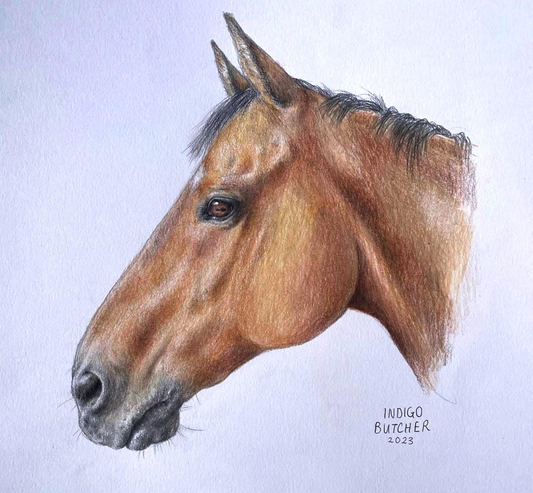 馬の肖像画のパーソナライズされた鉛筆画 - Etsy 日本