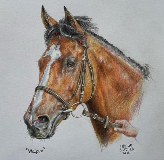 馬の肖像画のパーソナライズされた鉛筆画 - Etsy 日本