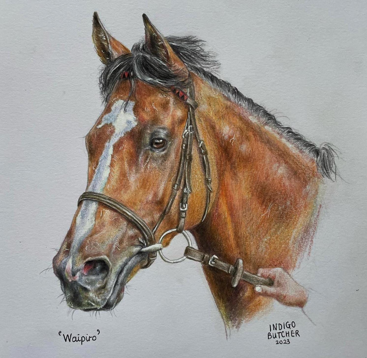 馬の肖像画のパーソナライズされた鉛筆画 - Etsy 日本