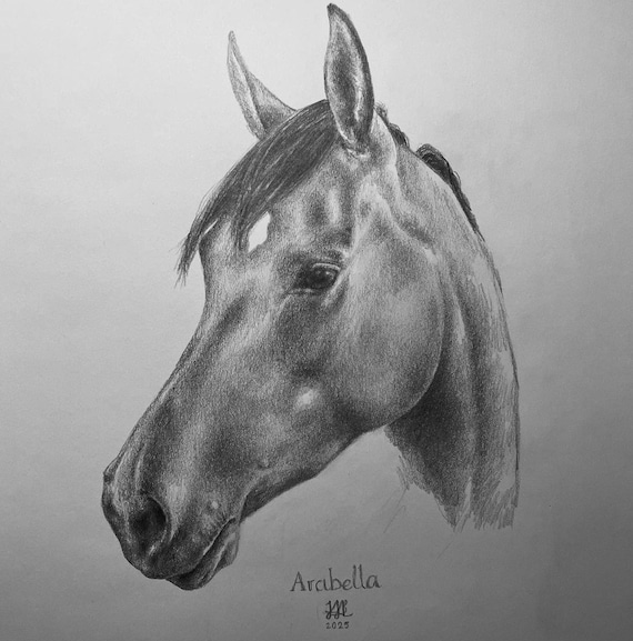 馬の肖像画のパーソナライズされた鉛筆画 - Etsy 日本