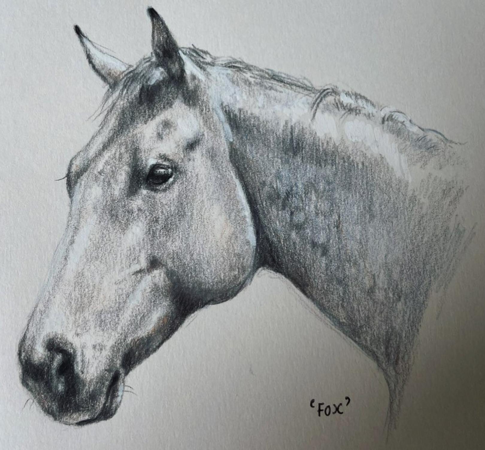 馬の肖像画のパーソナライズされた鉛筆画 - Etsy 日本