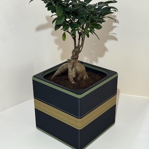 Planter Pot - Clean