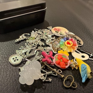 Op de afbeelding: Een verzameling decoratieve bedels en snuisterijen, waaronder een zwarte metalen doos, zilverkleurige bedels, een kleurrijke bloem, een papegaai en een knoop. De bedels zijn in verschillende vormen en kleuren, geschikt voor het maken van sieraden of knutselen.