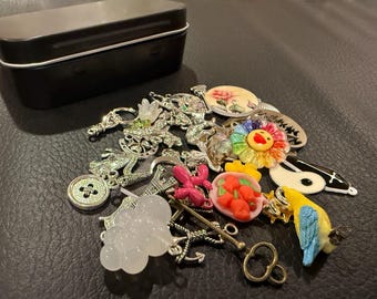 Puede incluir: Una colección de abalorios y baratijas decorativas, que incluye una caja de metal negro, abalorios plateados, una flor colorida, un loro y un botón. Los abalorios son de varias formas y colores, adecuados para la fabricación de joyas o manualidades.