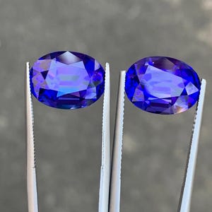 May include: Two oval-shaped gemstones, both a deep purple-blue color, are held by tweezers against a gray background.
