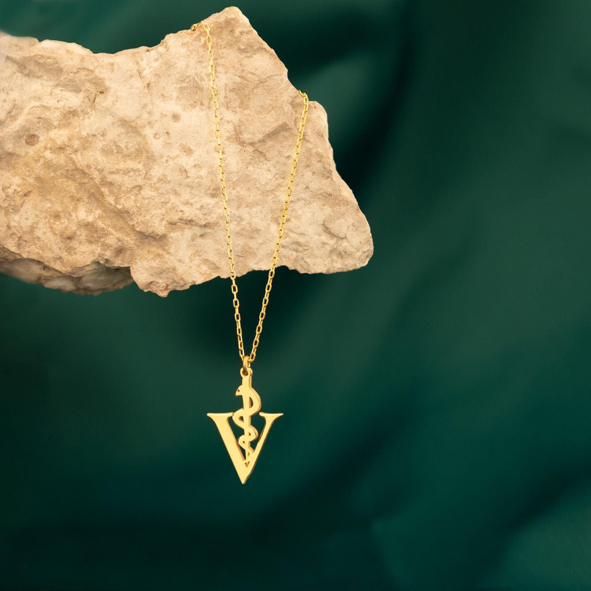 14K Gold Veterinary Caduceus Symbol Necklace, Veterinary Gifts, Animal Care Symbol Necklace, Vet Charm Necklace, Vet Graduation Gift