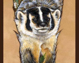 May include: A detailed painting on a brown feather featuring a badger with black and white facial markings, surrounded by white tufted plants and green foliage. The artwork includes the text Sandra SanTara 2014 and a circular logo at the base.