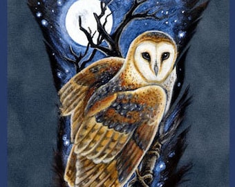 May include: A brown and white barn owl is painted on a dark brown feather. The owl is perched on a branch against a night sky with a full moon and stars. The text Sandra SanTara 2011 copyright is visible at the top, with a logo at the bottom.