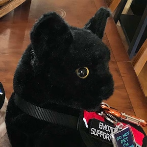 Emotional Support Black Halloween Spooky ESSA Plushie Cat Personalized gift