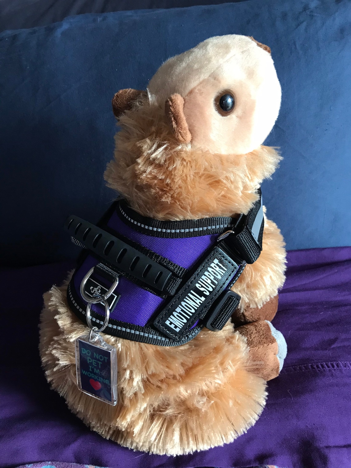 Emotional Support Capybara Stuffed Animal Plushie Toy | Etsy