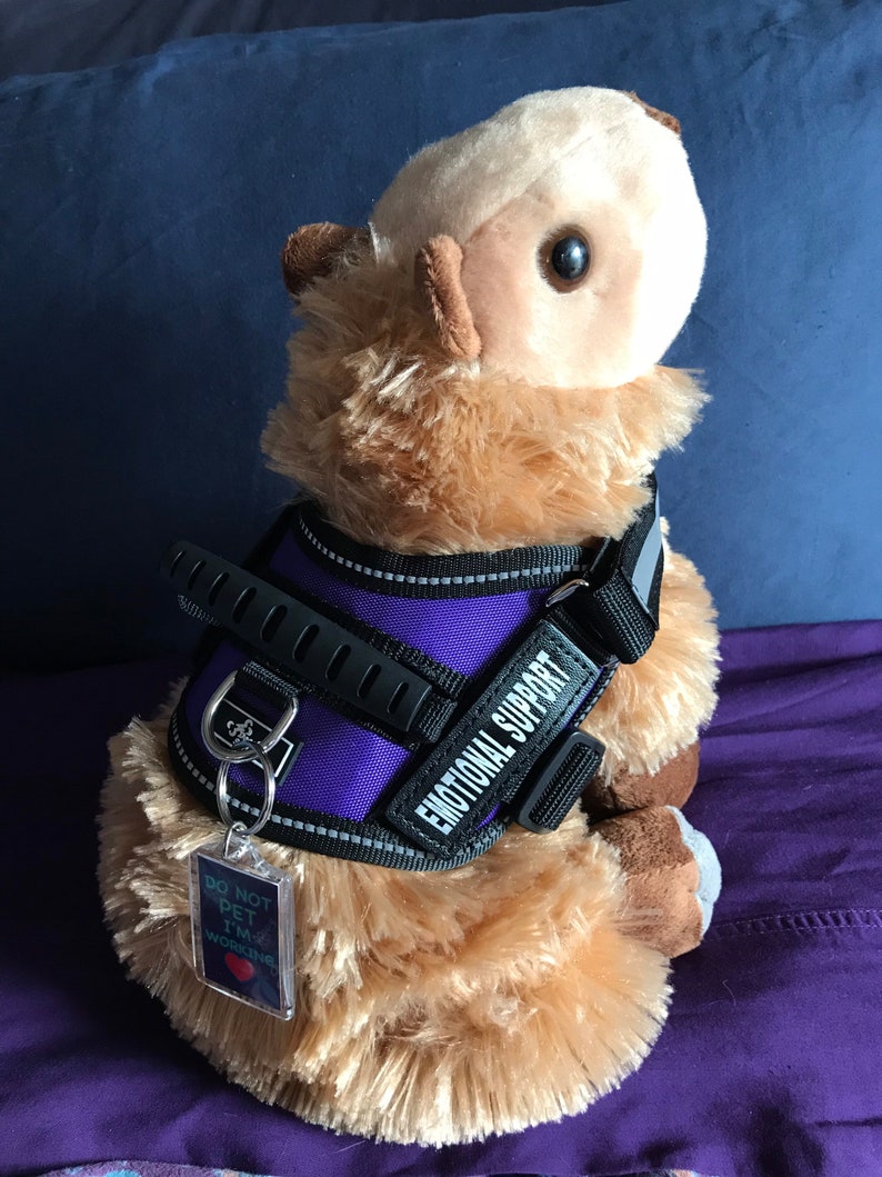 Emotional Support Capybara Stuffed Animal Plushie Toy | Etsy