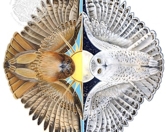 Redtail Hawk and Snowy Owl Spirit Animal Print