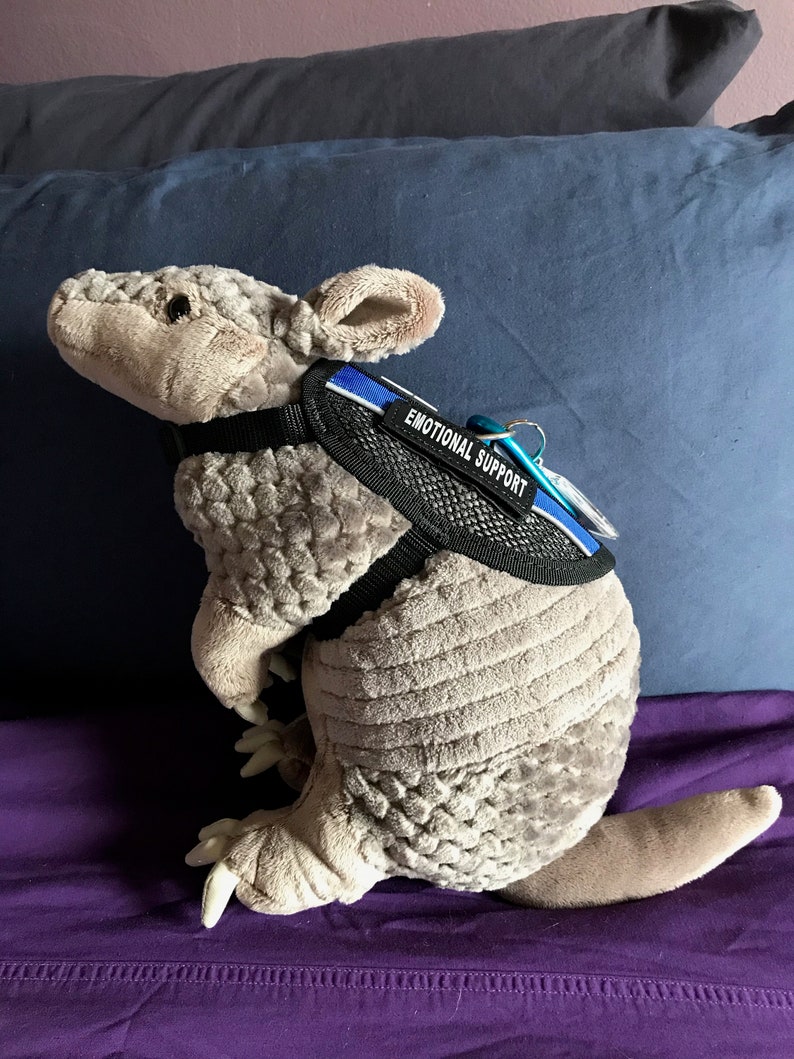 Emotional Support Armadillo Stuffed Animal Toy | Etsy