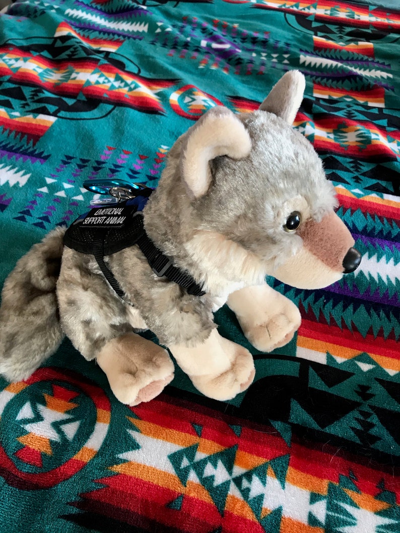 grey wolf express inc