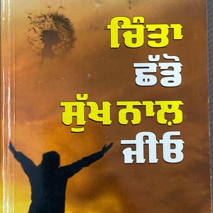 How to stop worrying and start living - Punjabi edition