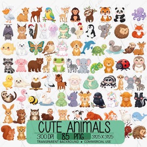 Può includere: Una collezione di 85 illustrazioni colorate di animali in stile cartone animato, tra cui un pellicano, una tigre, un panda, un polpo, un pipistrello, un koala, un riccio, una volpe, una farfalla, un unicorno, un cane, un delfino e un leone.