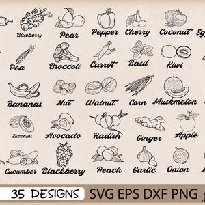 Vegetable and Fruit Clipart Bundle, Healthy Food (svg, png, eps, dxf) Digital Files
